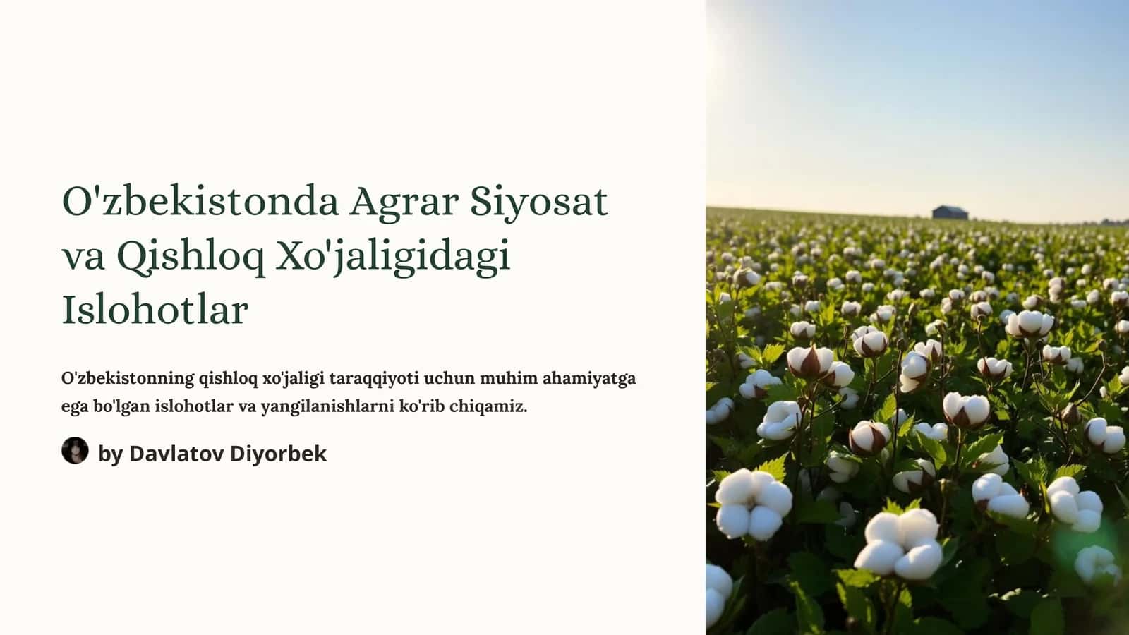 O'zbekistonda Agrar Siyosat va Qishloq Xo'jaligidagi Islohotlar