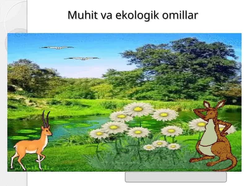 Muhit va ekologik omillar