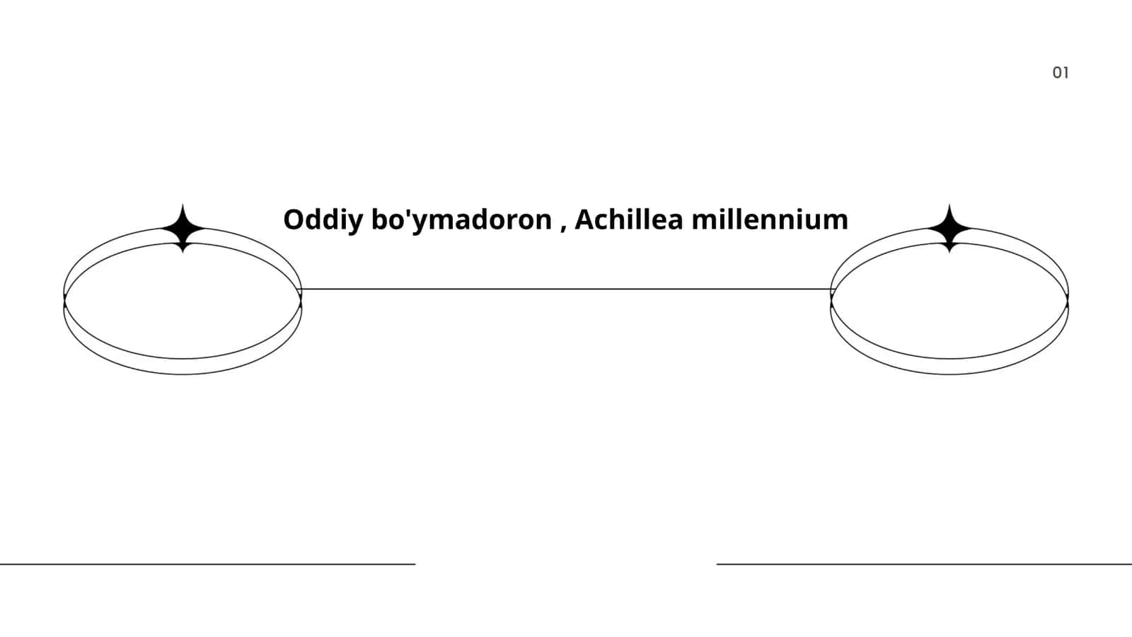 Oddiy bo'ymadoron, Achillea millennium