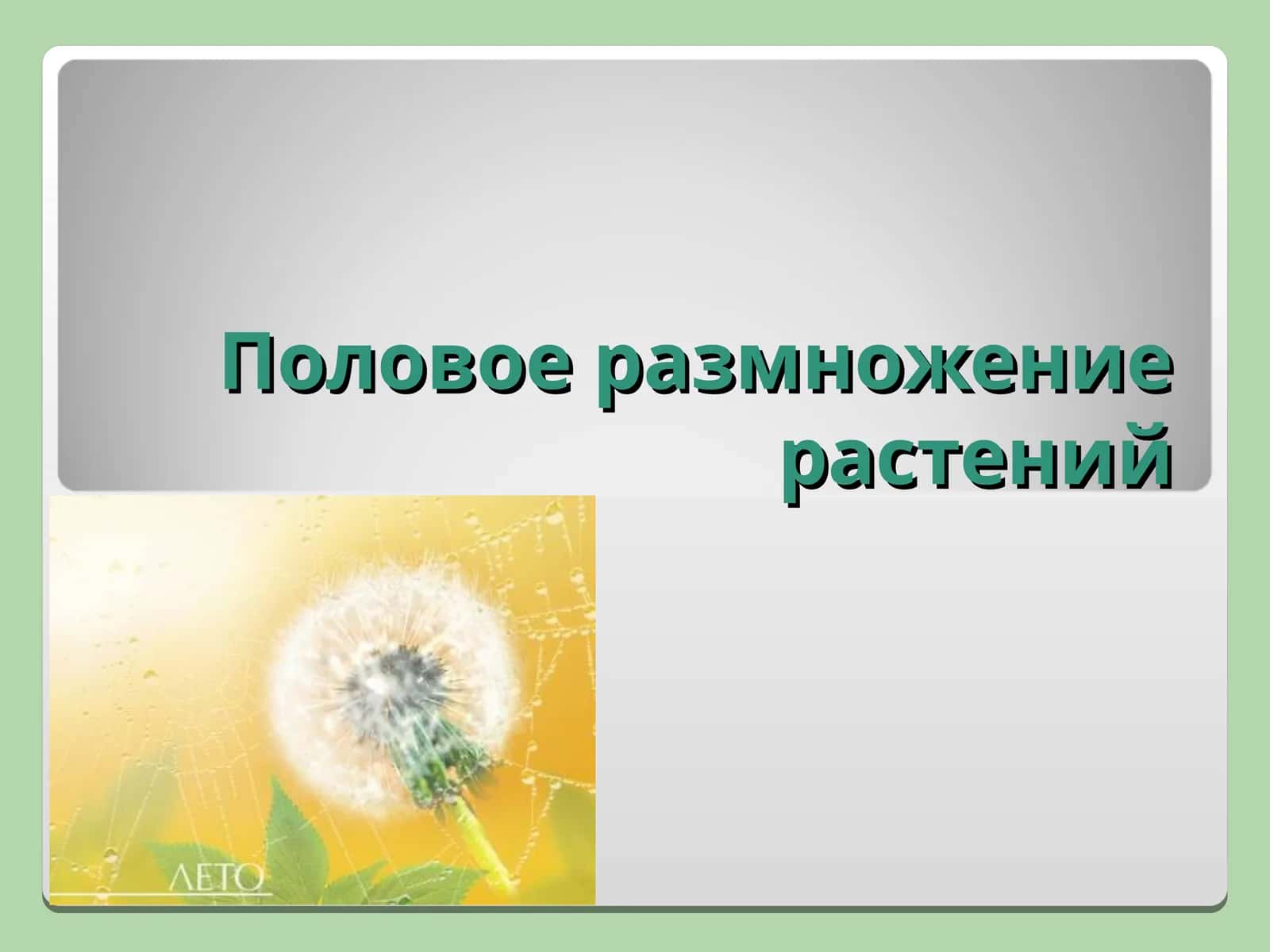 Половое размножение растений