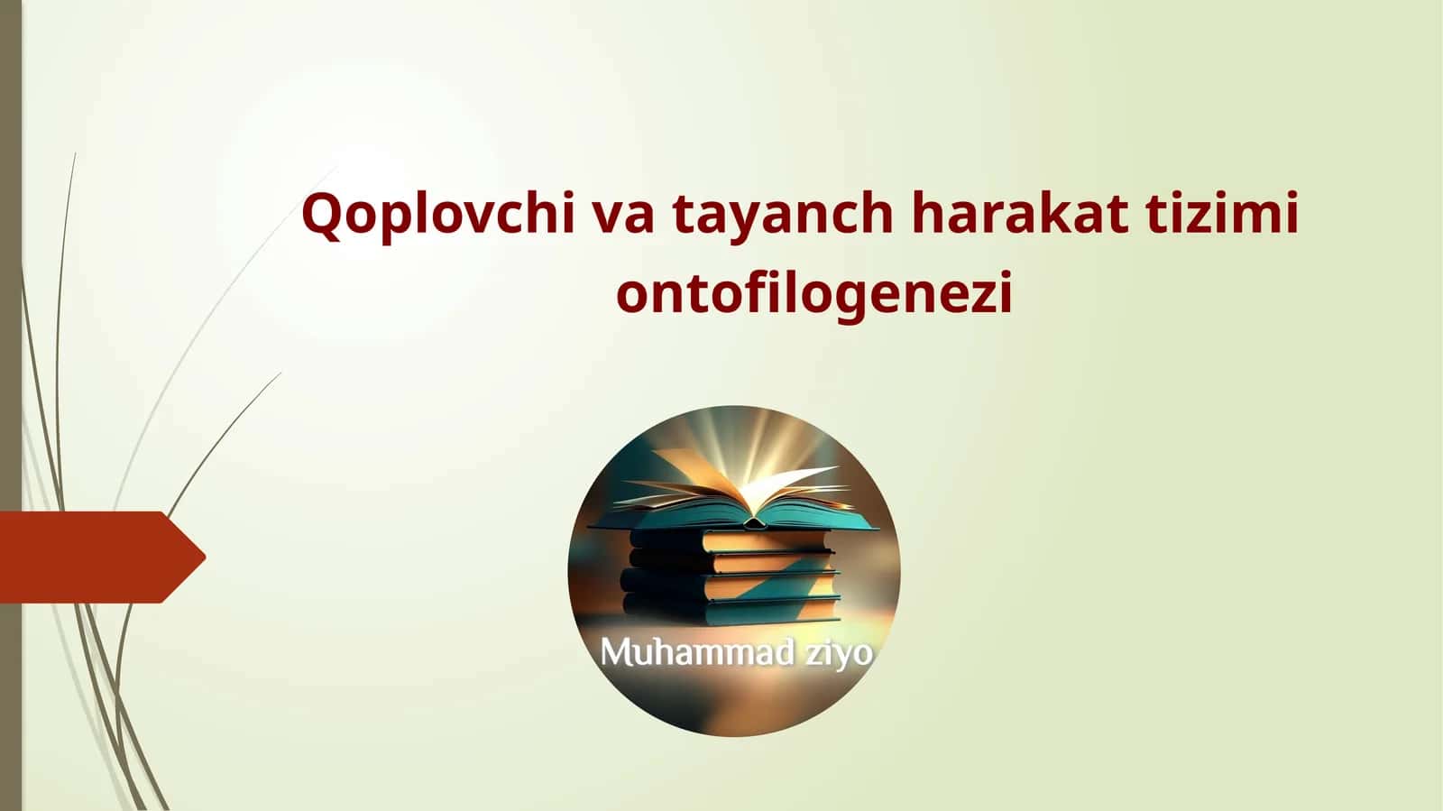 Qoplovchi va tayanch harakat tizimi ontofilogenezi