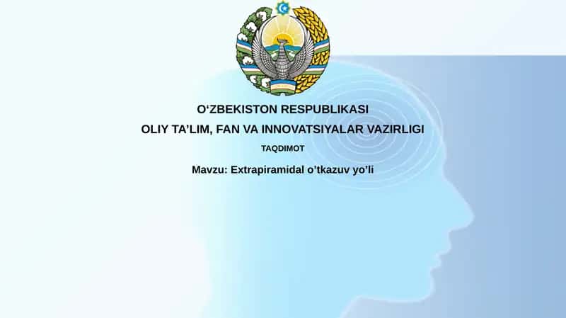 Ekstrapiramidal yo'l