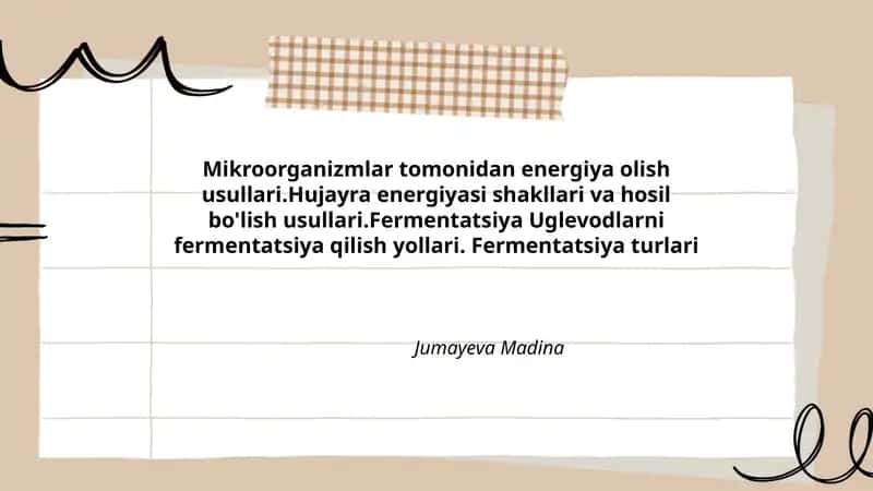 Fermentatsiya