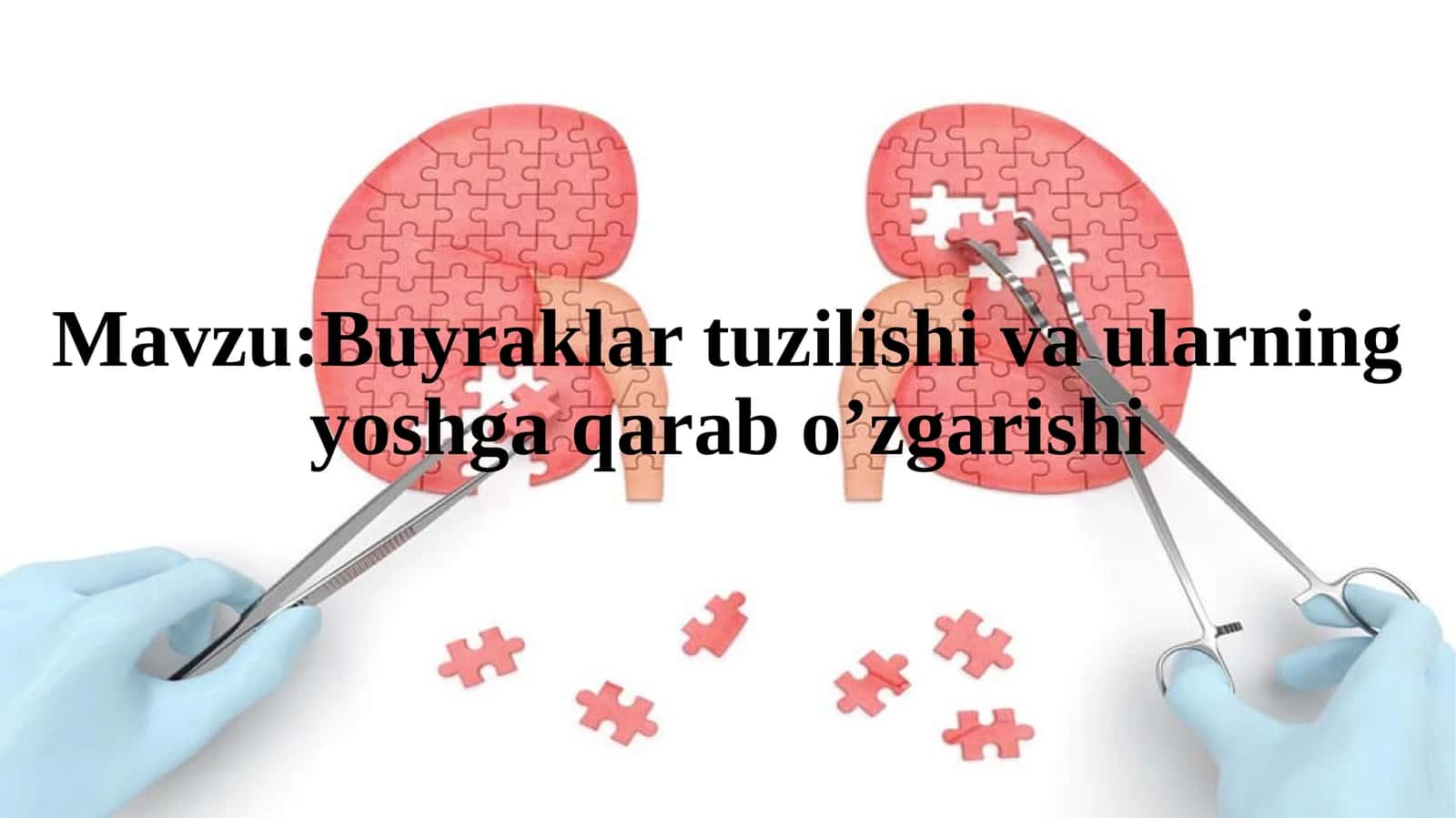 Buyraklar tuzilishi va ularning yoshga qarab o’zgarishi