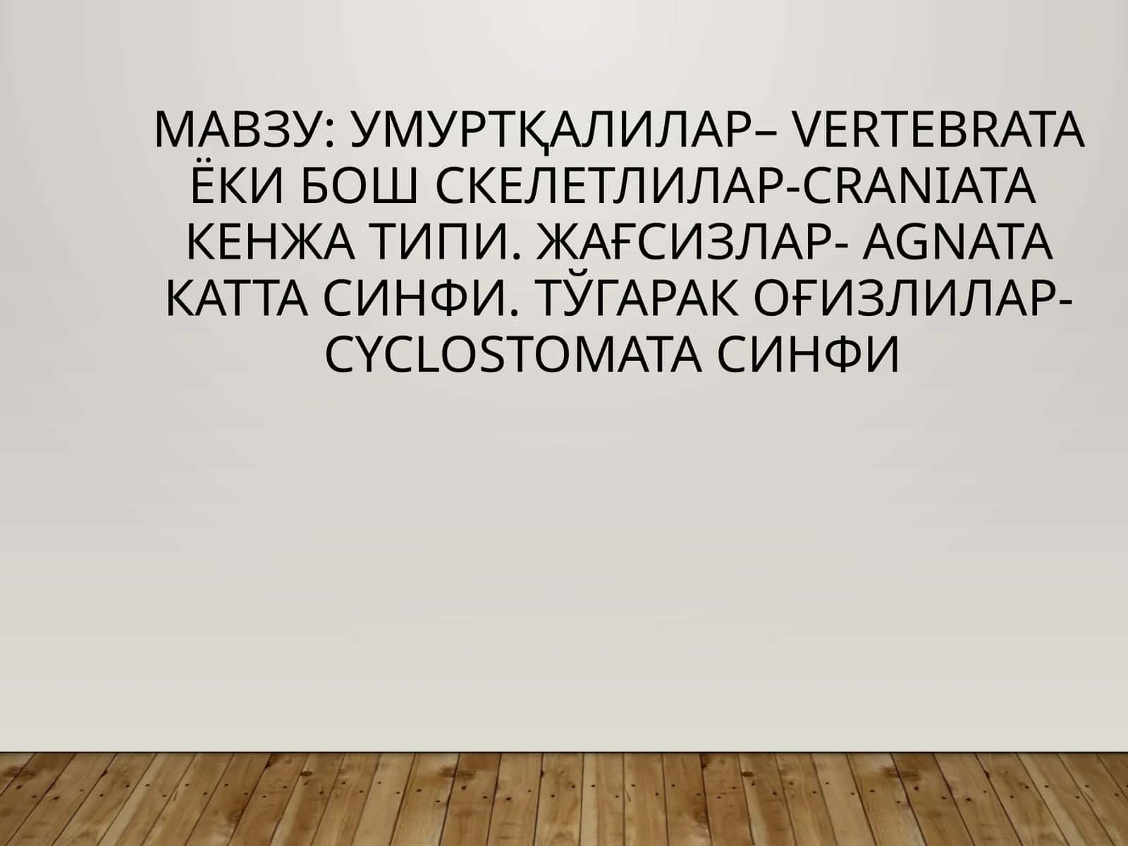 Умуртқалилар– Vertebrata ёки Бош скелетлилар-Craniata кенжа типи