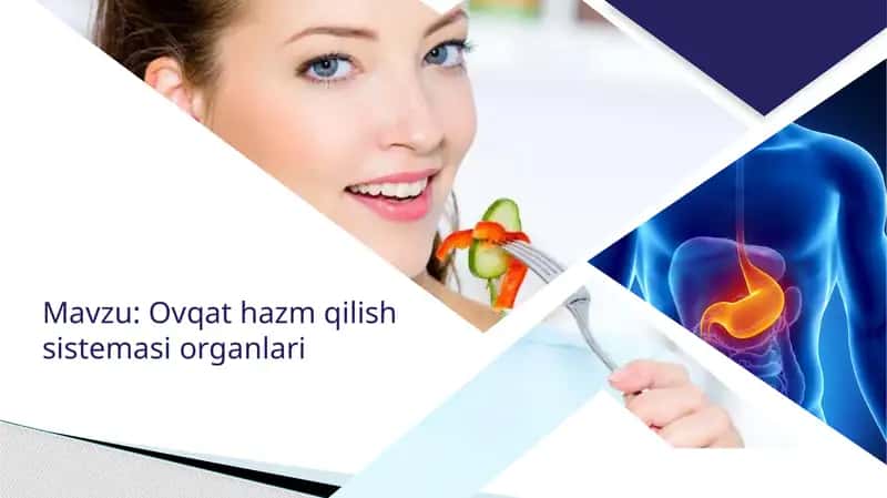 Ovqat hazm qilish sistemasi organlari