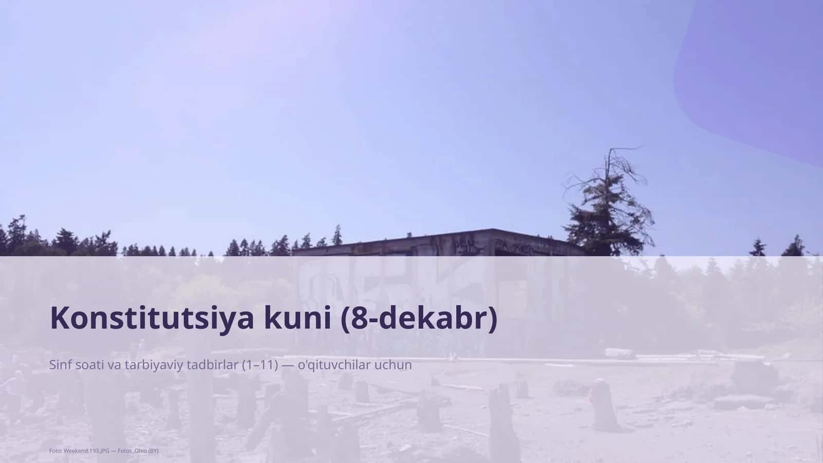 Konstitutsiya kuni (8-dekabr) mavzusi uchun dars rejasi