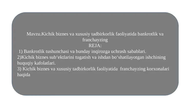 Kichik biznes va xususiy tadbirkorlik faoliyati dasturi