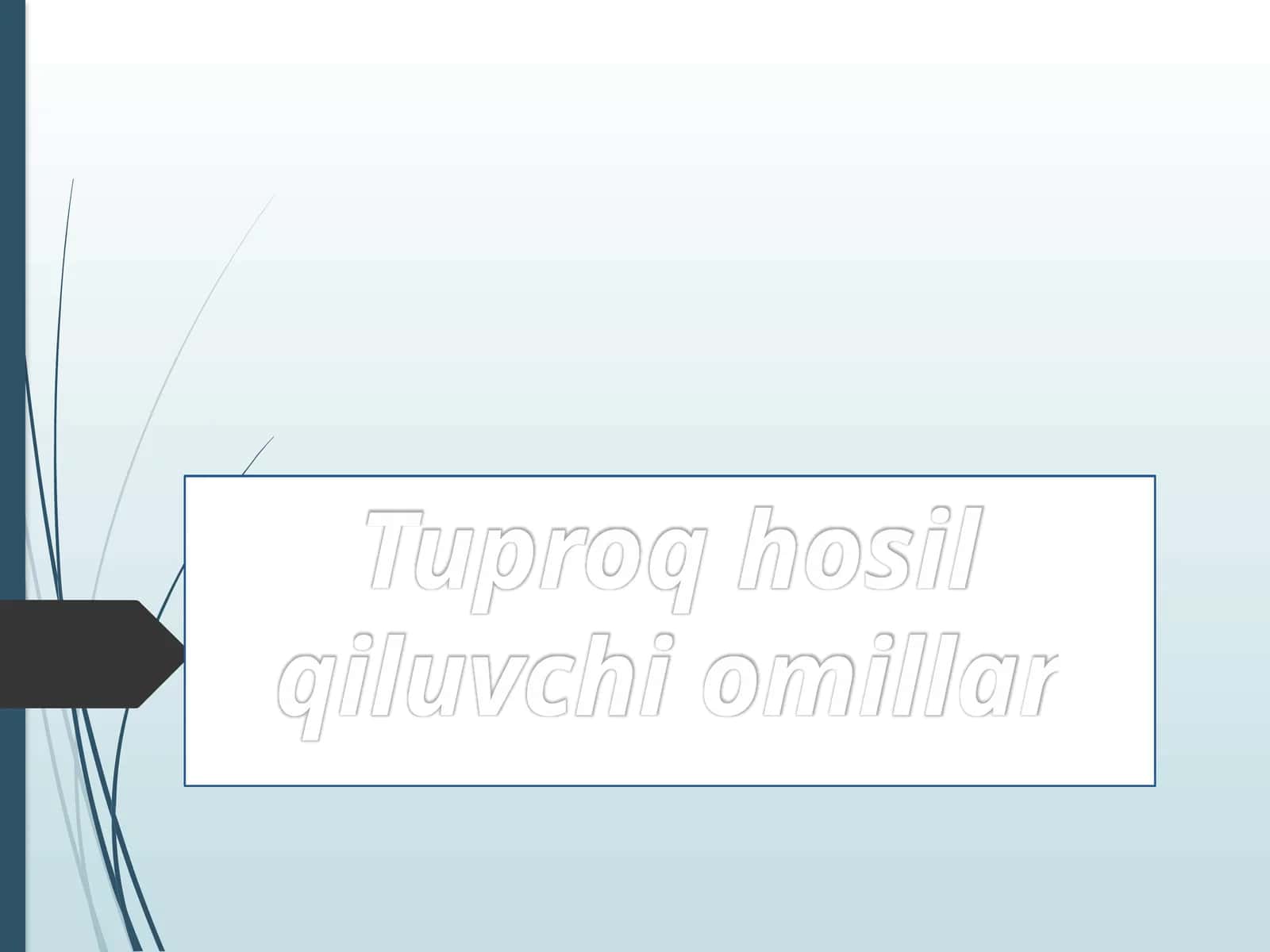 Tuproq hosil qiluvchi omillar