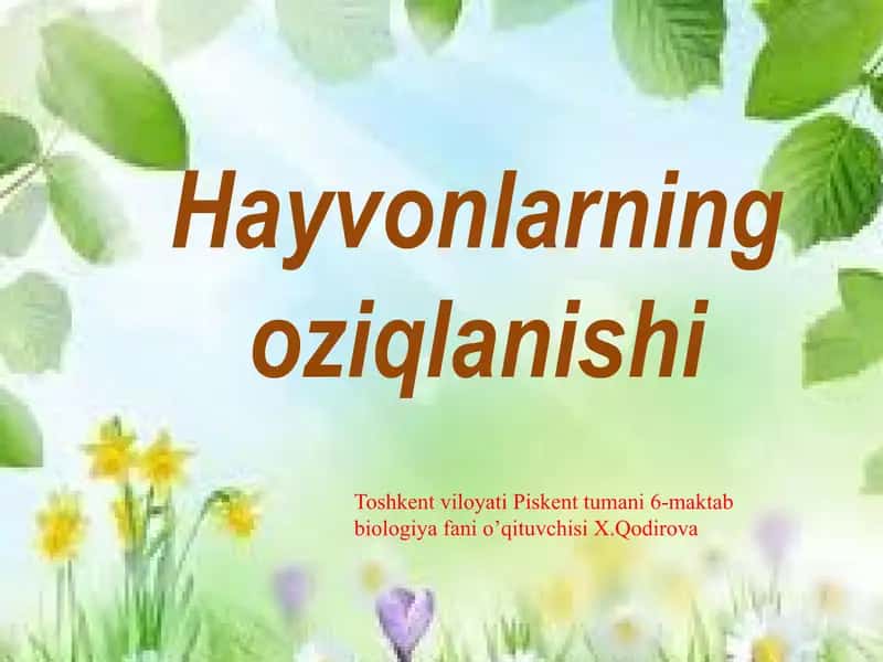 Hayvonlarning oziqlanishi