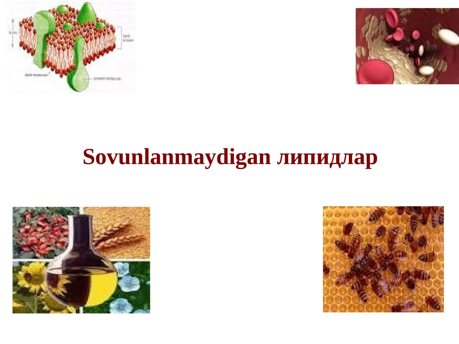 Sovunlanmaydigan lipidlar