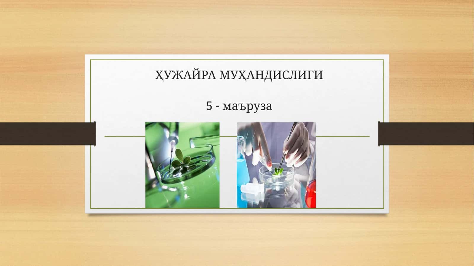 ҲУЖАЙРА МУҲАНДИСЛИГИ