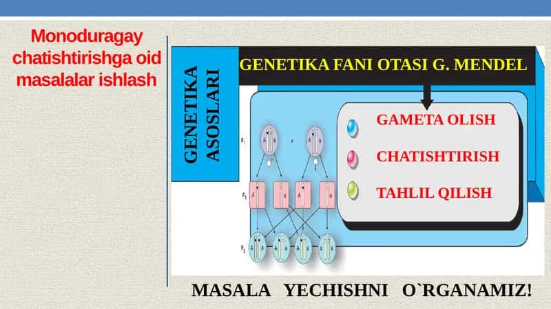 Monoduragay chatishtirishga oid masalalar ishlash