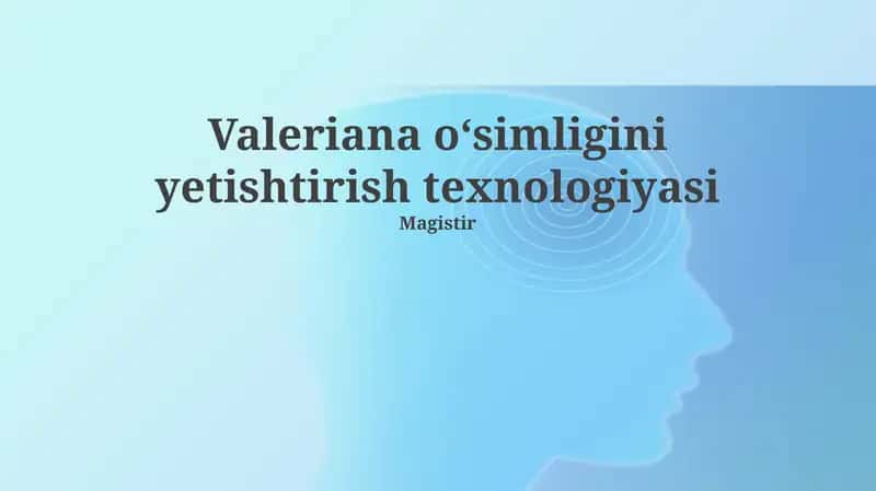 Valeriana oʻsimligini yetishtirish texnologiyasi