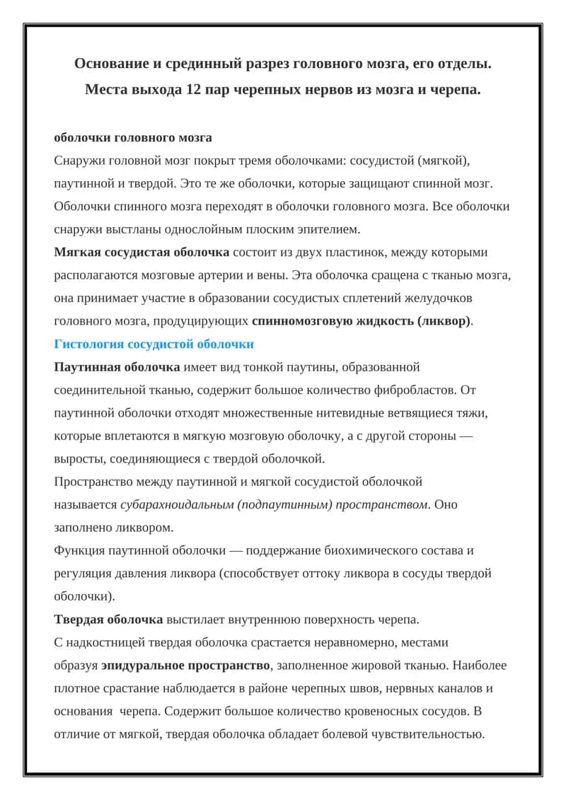 Оболочки головного мозга