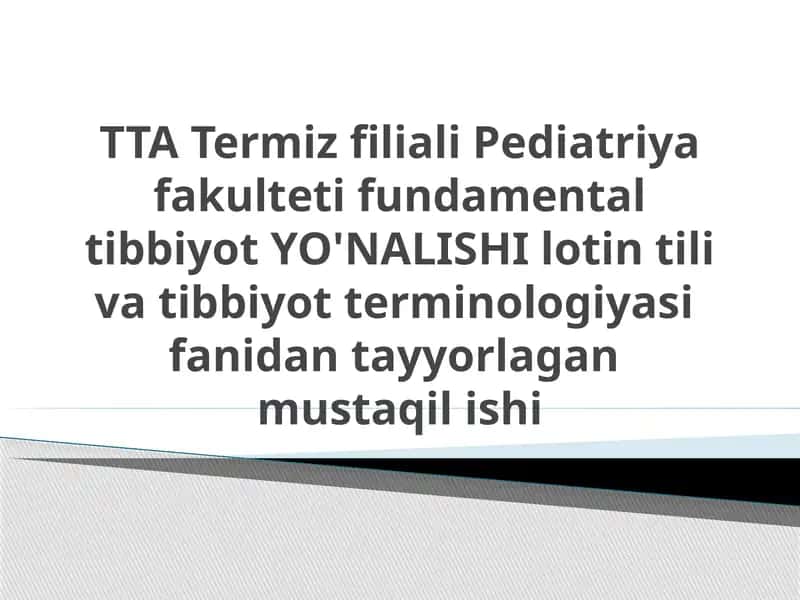 Lotin tili tarixi. Zamonaviy tillarda lotinshunoslik.