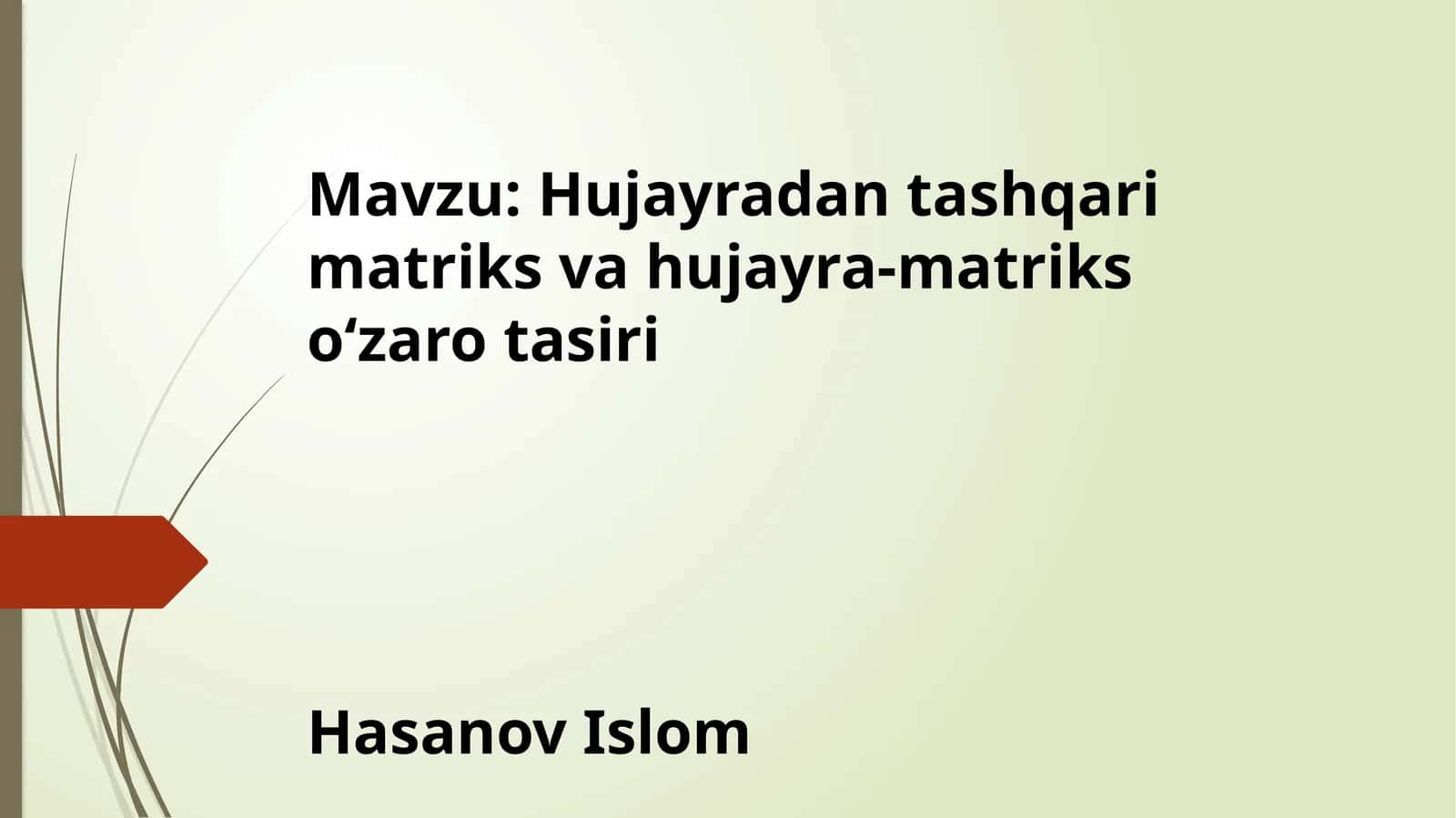 Hujayradan tashqari matriks va hujayra-matriks oʻzaro tasiri