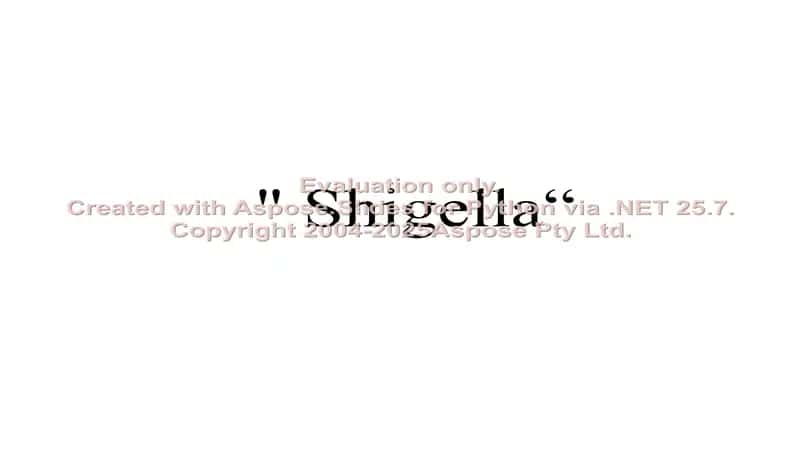 Shigella