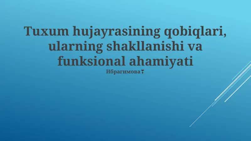 Tuxum hujayrasining qobiqlari, ularning shakllanishi va funksional ahamiyati