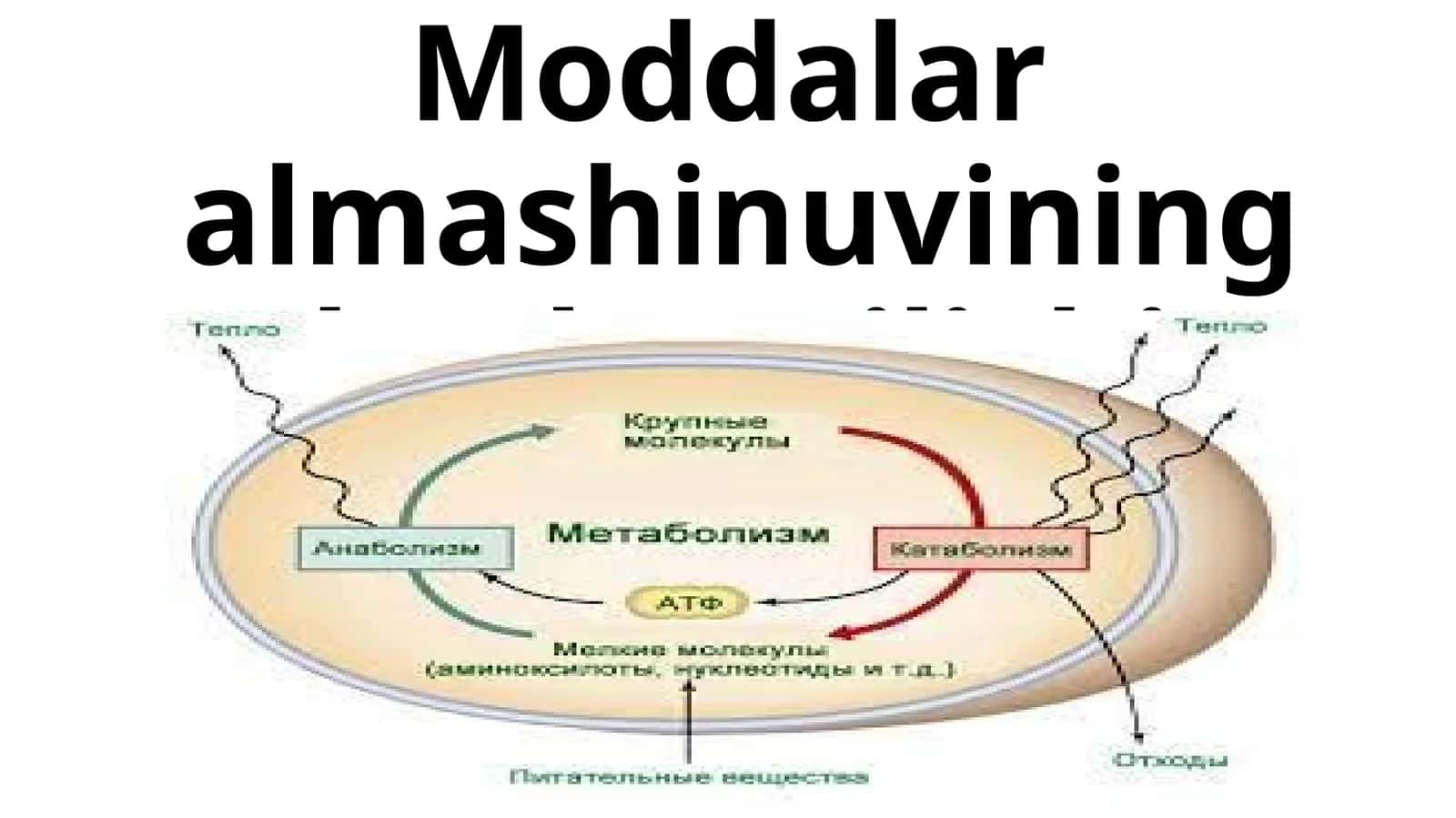 Moddalar almashinuvining boshqarilishi