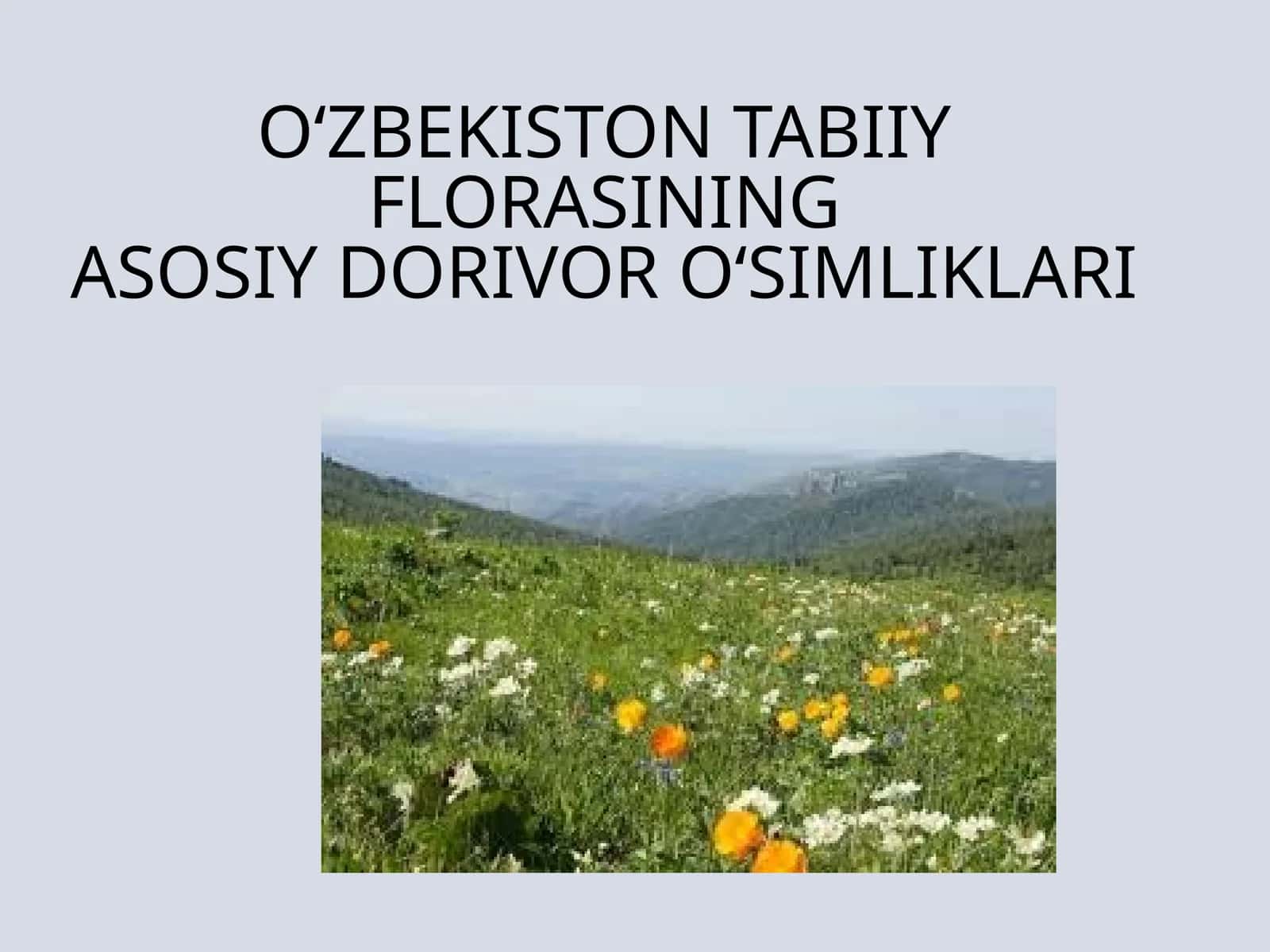 O‘ZBEKISTON TABIIY FLORASININGASOSIY DORIVOR O‘SIMLIKLARI