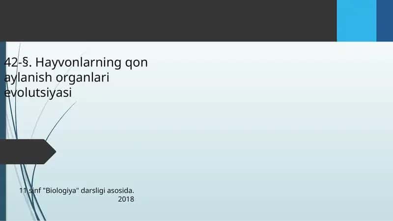 Hayvonlarning qonaylanish organlari evolutsiyasi