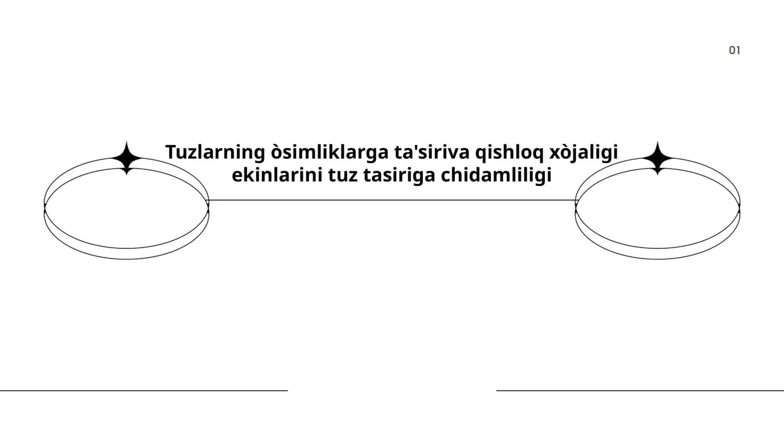 Tuzlarning òsimliklarga ta'siriva qishloq xòjaligi ekinlarini tuz tasiriga chidamliligi