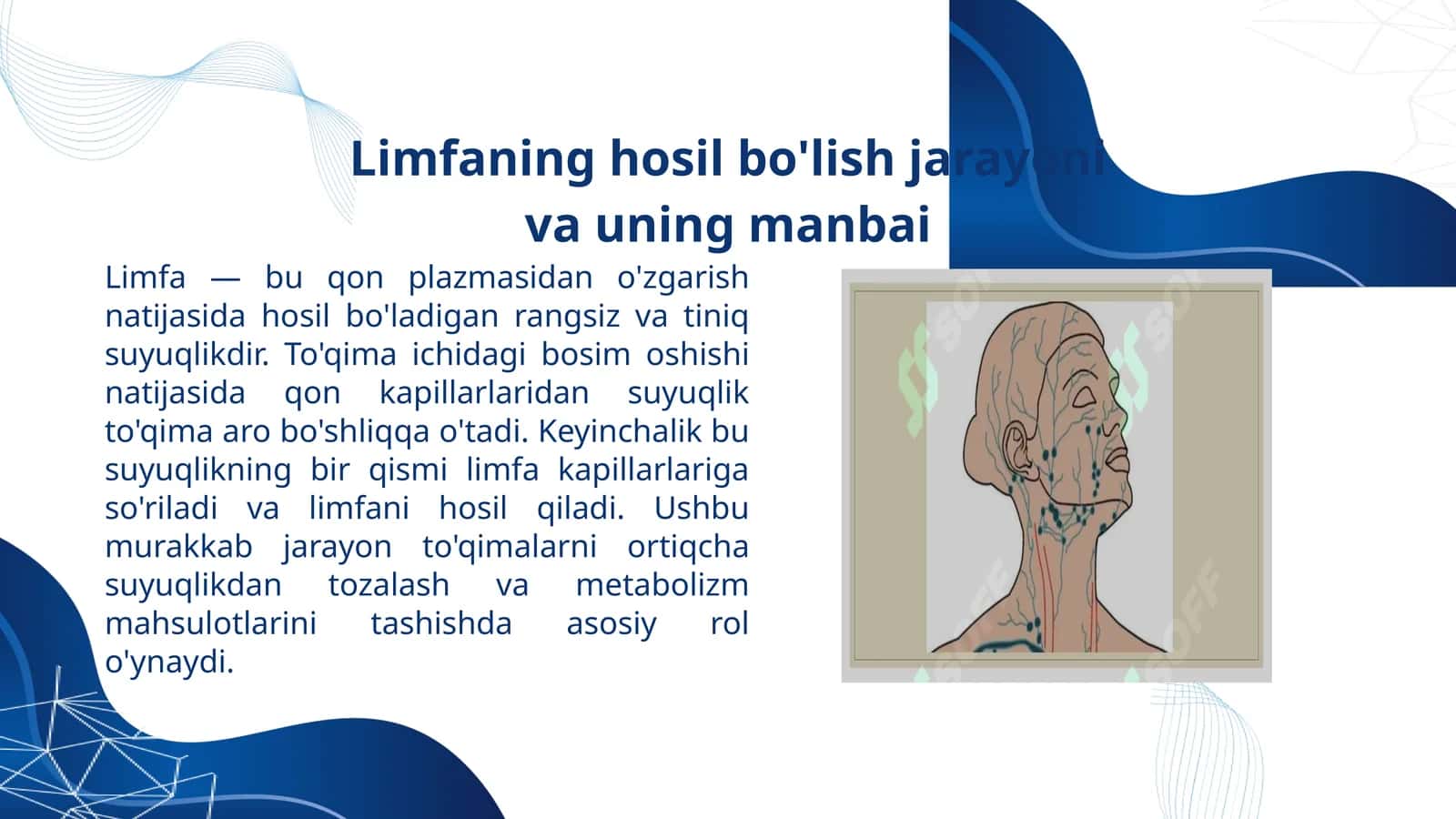 Limfaning hosil bo'lish jarayoni va uning manbai