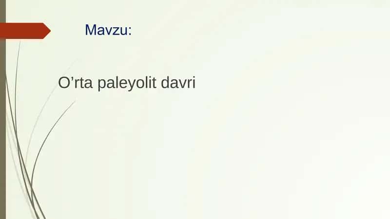 O’rta paleyolit davri