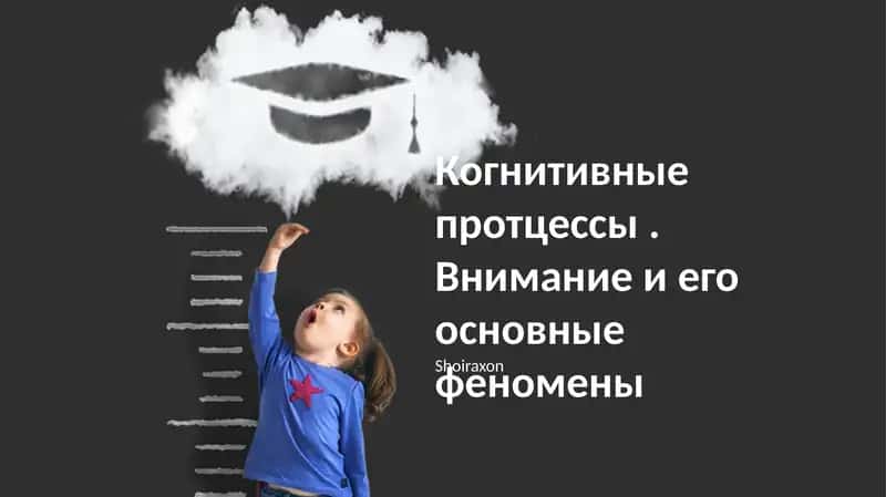 Когнитивные протцессы внимания, его разделенные, избирательные и распределённые феномены. Влияние времени реакции на различные задачи и повседневную жизнь