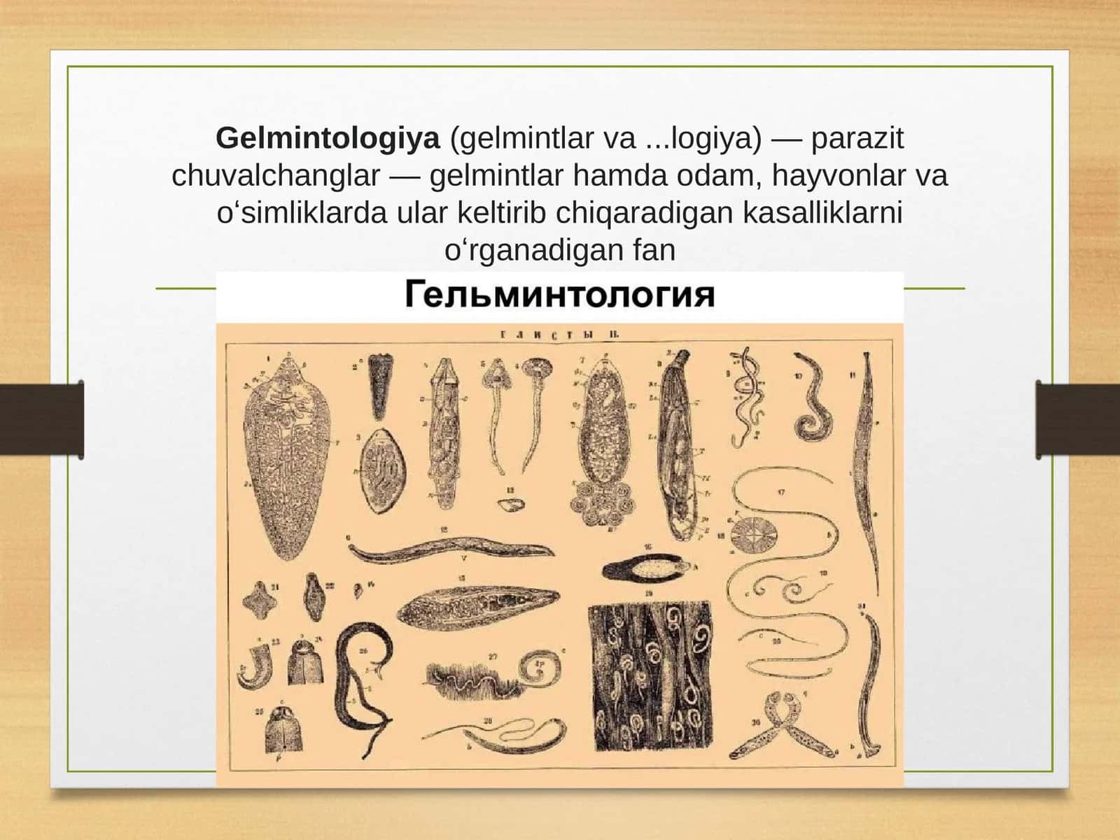 Gelmintologiya