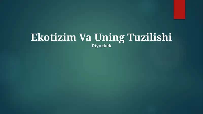 Ekotizim Va Uning Tuzilishi