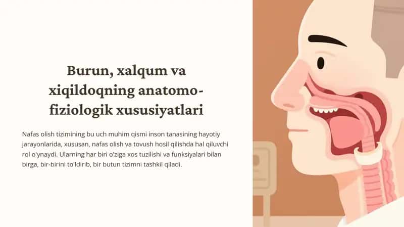 Burun, xalqum va xiqildoqning anatomo-fiziologik xususiyatlari