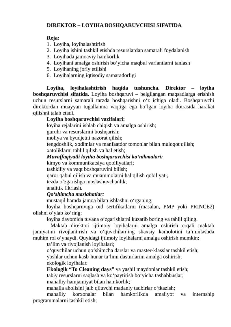Direktor – loyiha boshqaruvchisi sifatida