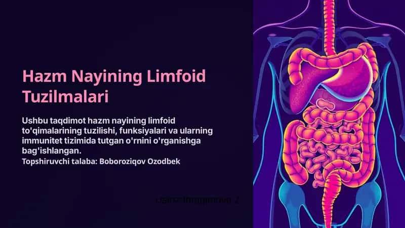 Limfoid To'qimalarning Tuzilishi