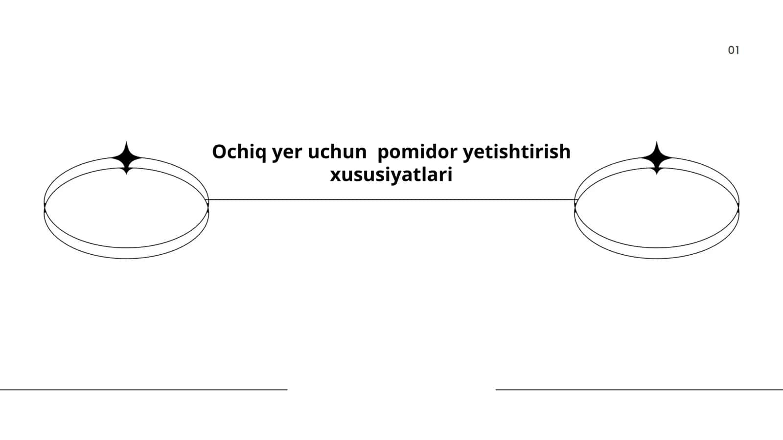 Ochiq yer uchun pomidor yetishtirish xususiyatlari