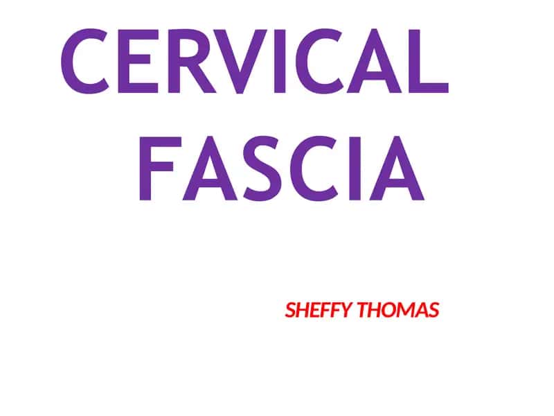 Cervical Fascia