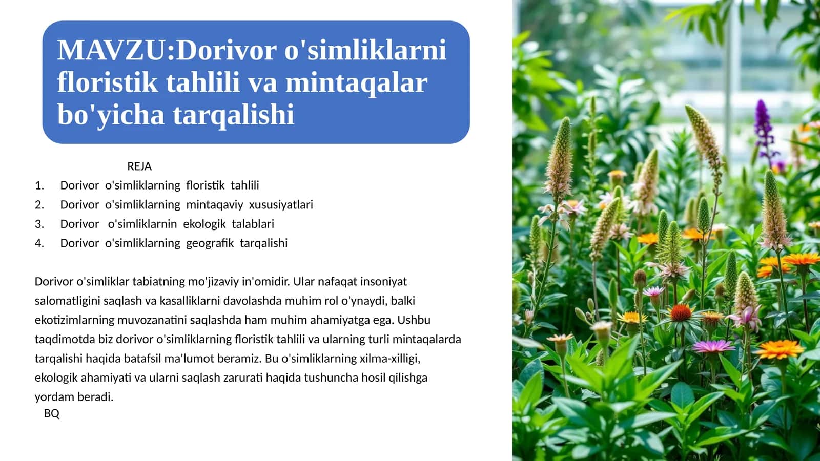 Dorivor o'simliklarning floristik tahlili