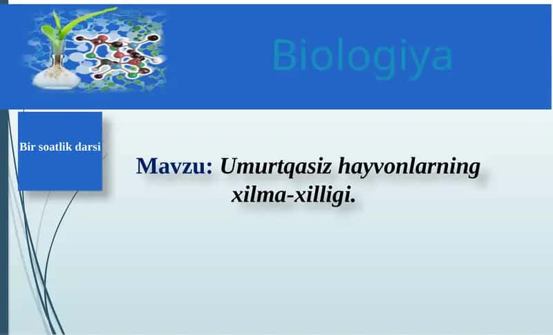 Umurtqasizhayvonlarningxilma-xilligi
