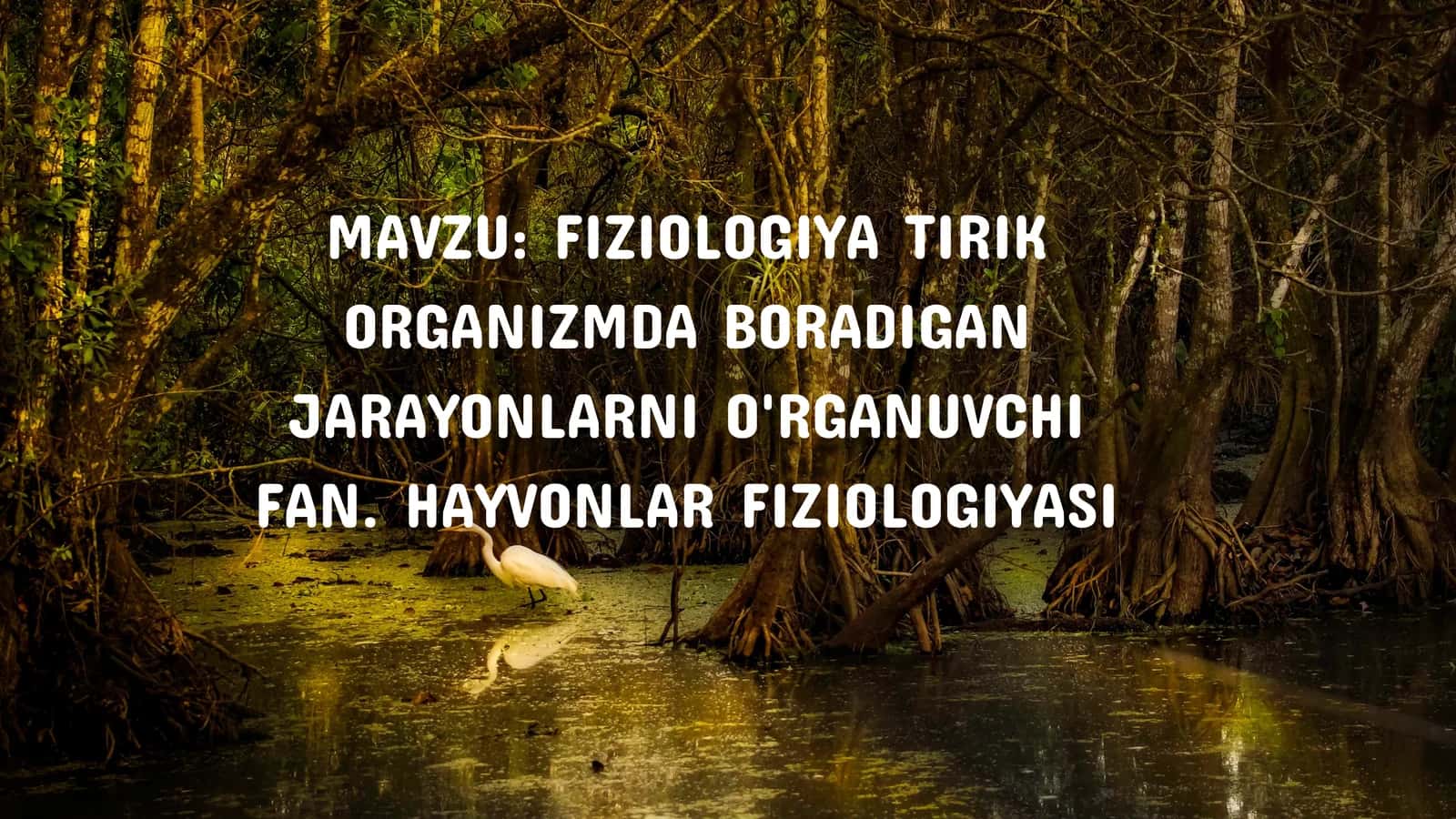 FIZIOLOGIYA TIRIK ORGANIZMDA BORADIGAN JARAYONLARNI O'RGANUVCHI FAN. HAYVONLAR FIZIOLOGIYASI