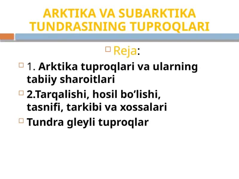 ARKTIKA VASUBARKTIKATUNDRASININGTUPROQLARI