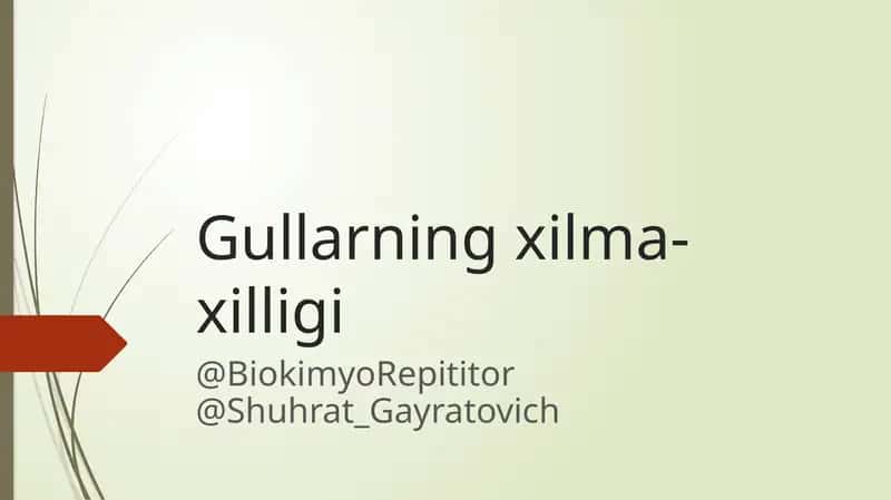 Gullarning xilma-xilligi