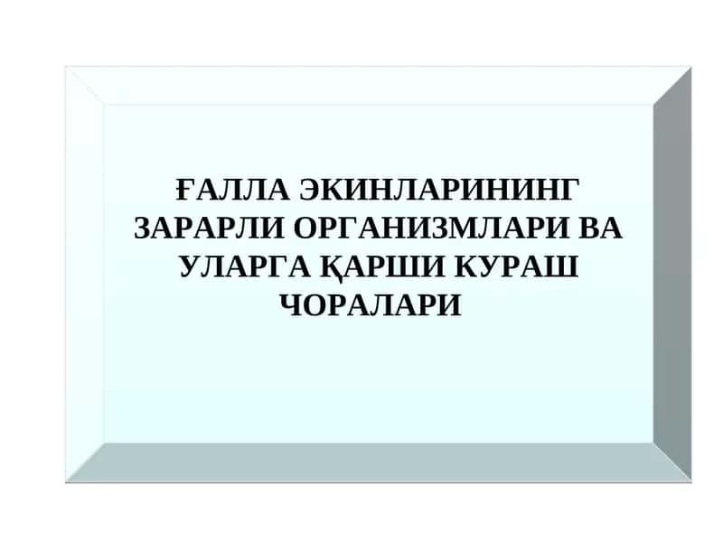 Ғаллани сўрувчи зараркунандалари ва уларга қарши кураш чоралари