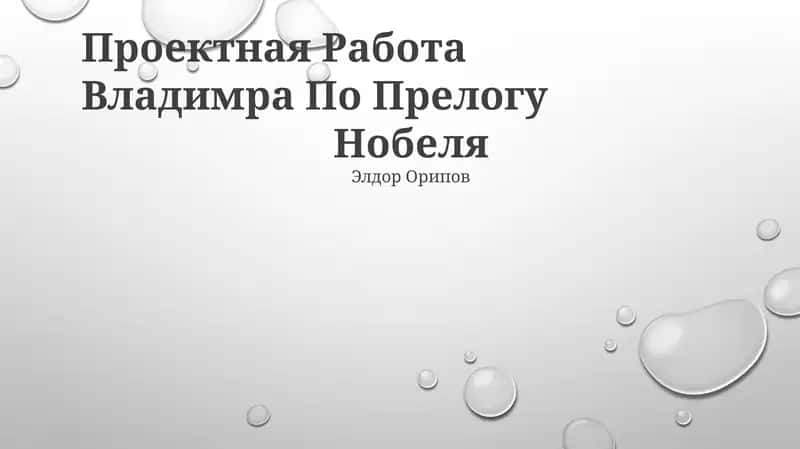 Проектная Работа