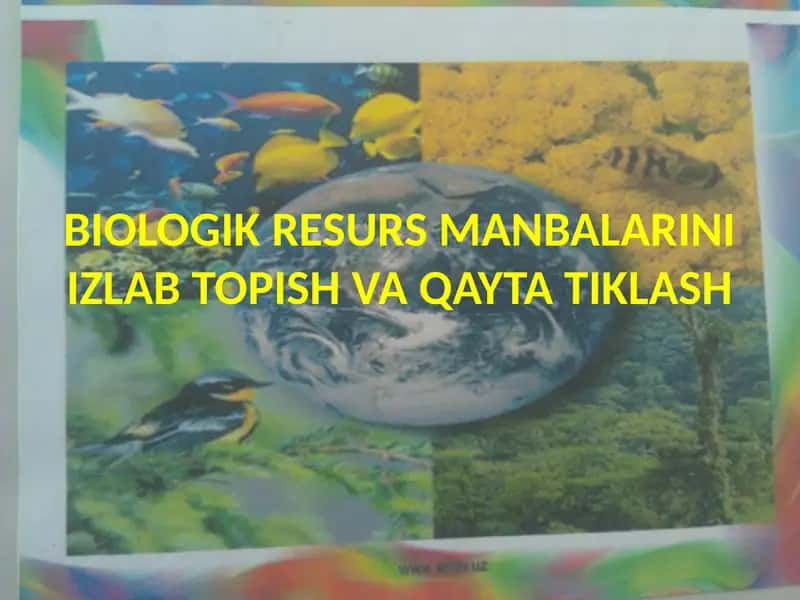 BIOLOGIK RESURS MANBALARINI IZLAB TOPISH VA QAYTA TIKLASH