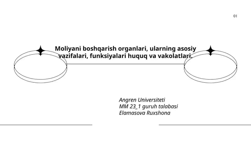 Moliyani boshqarish organlari: tushuncha va tizimi