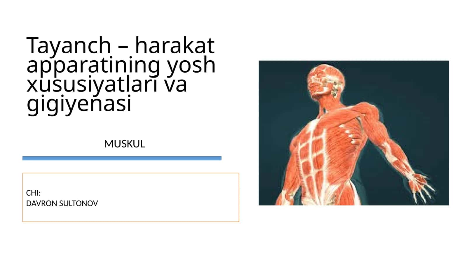 Tayanch – harakat apparatining yosh xususiyatlari va gigiyenasi