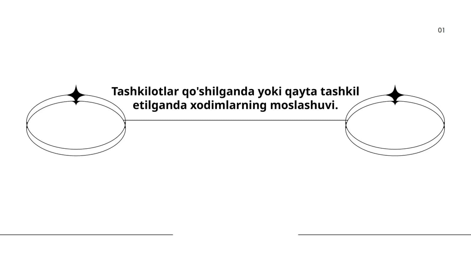 Tashkilot madaniyatining moslashuvi