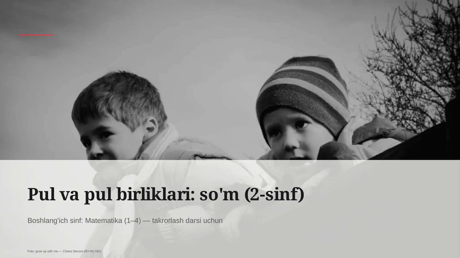 Pul va pul birliklari: so'm (2-sinf)