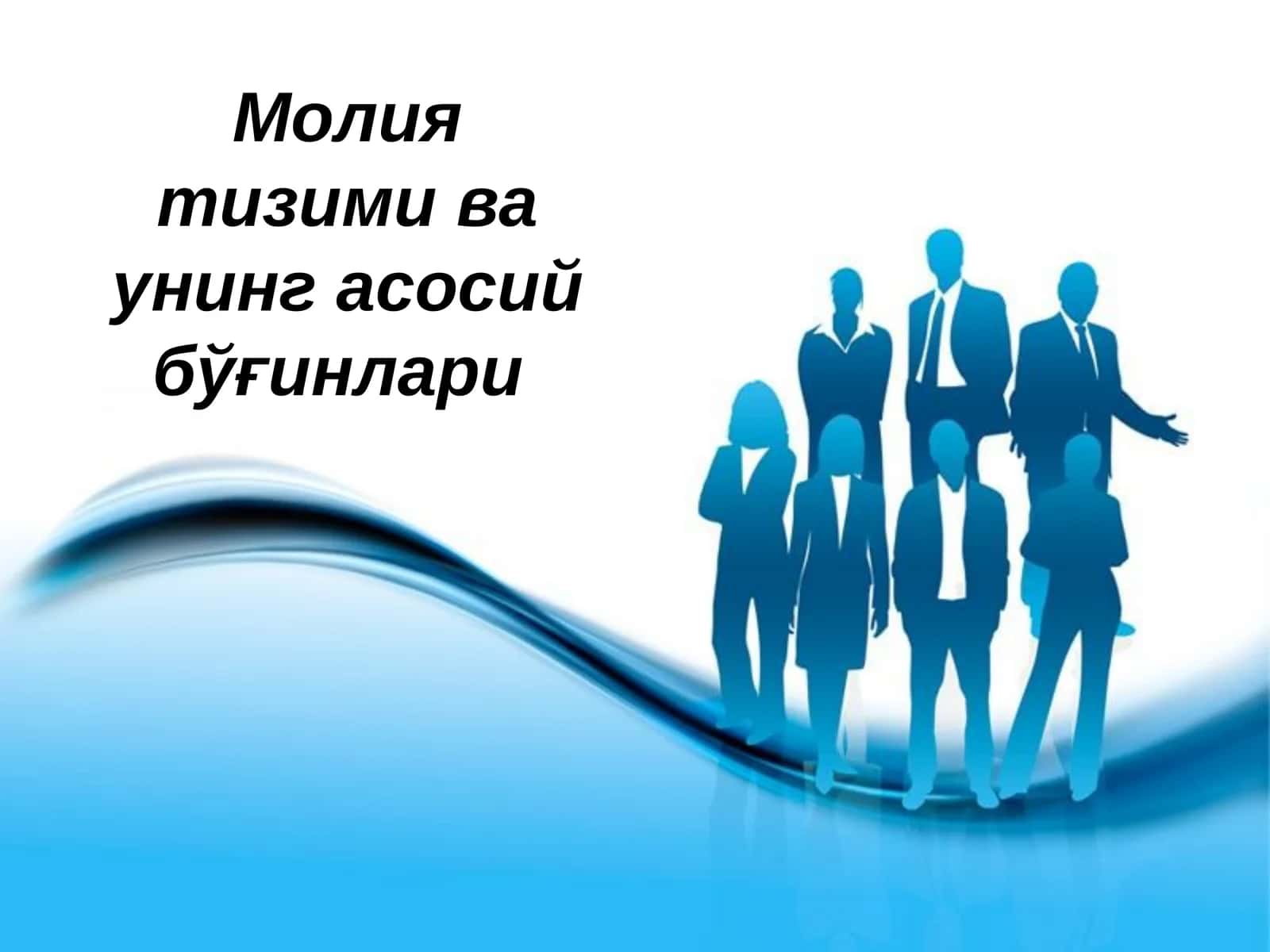 Молия тизими ва унинг асосий бўғинлари